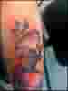  ip 