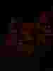   ip 