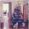  dect