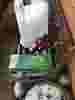     tertium