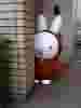    ip  