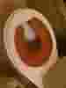     vin