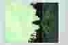       tertium